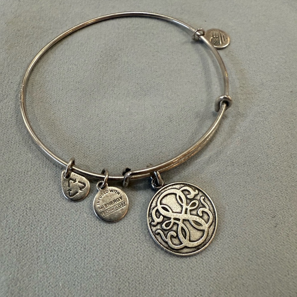 Alex and Ani Rafaelian Silver Charm Bangle Bracelet